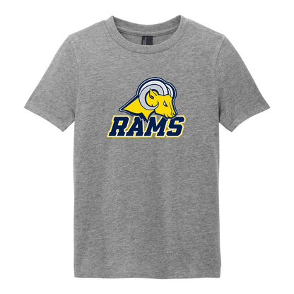 DT108Y Grey Frost front, Rams