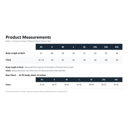 Bella + Canvas Unisex Triblend Short Sleeve Tee BC3413 product measurements